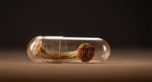 Formulating and Delivering Psychedelics: A CDMO’s View on The Possibilities of Psychedelics